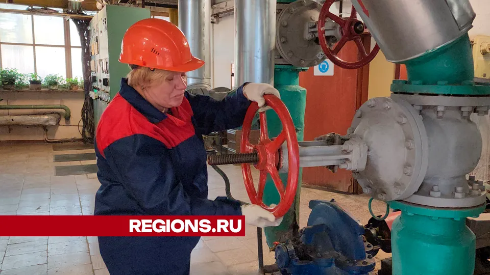 Фото: REGIONS/Василий Тремасов