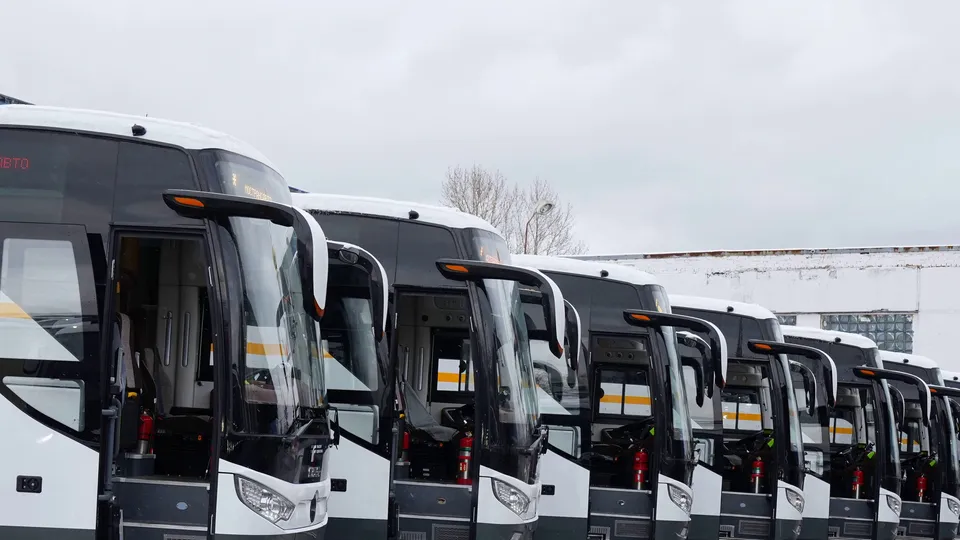 Фото: Екатерина Агеева