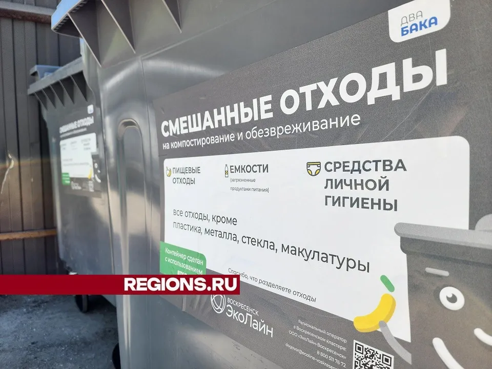 Фото: Светлана Плотникова