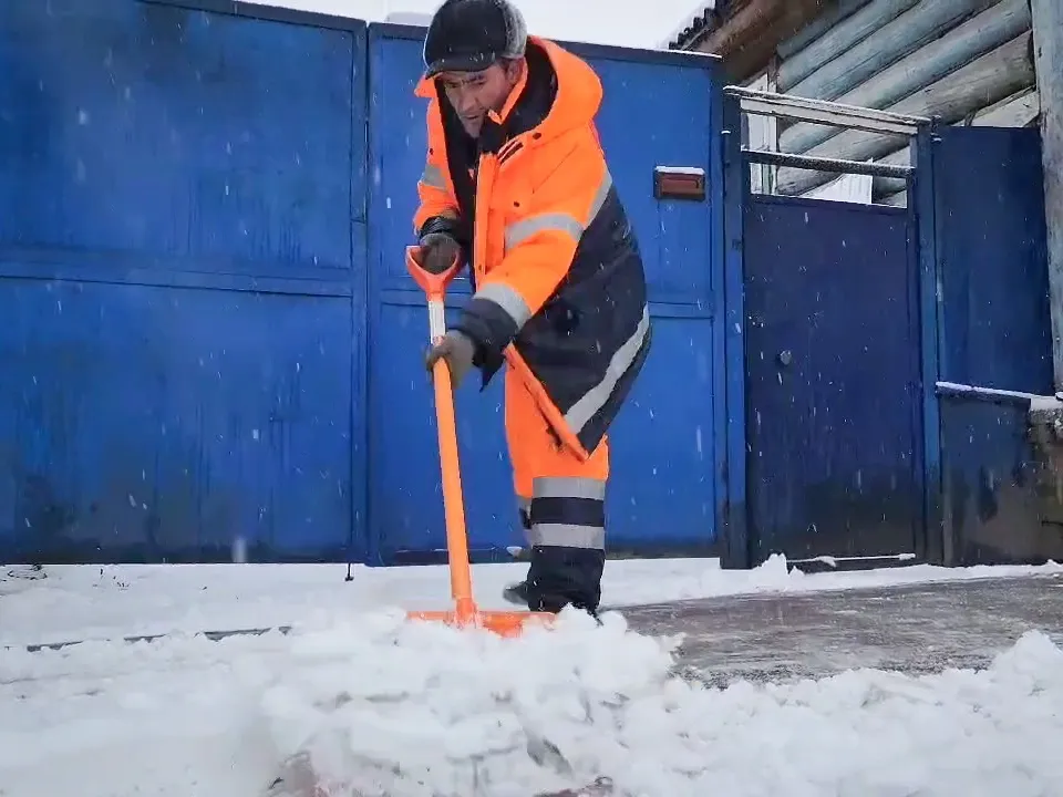 Фото: МедиаБанк Подмосковья/Ольга Антонова