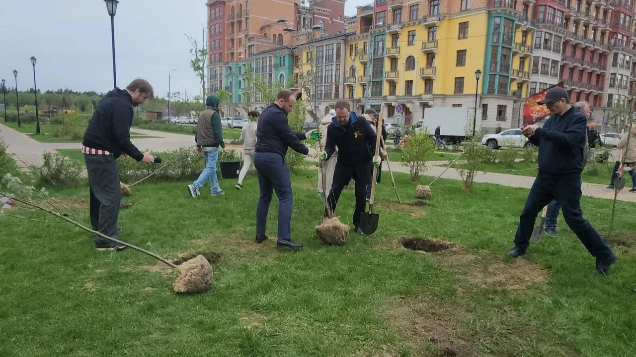 Картинка