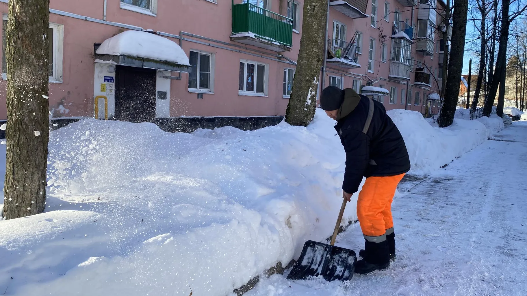 Анна Артюшина