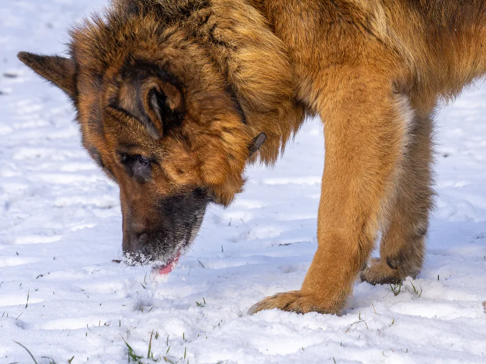 Фото: istockphoto.com
