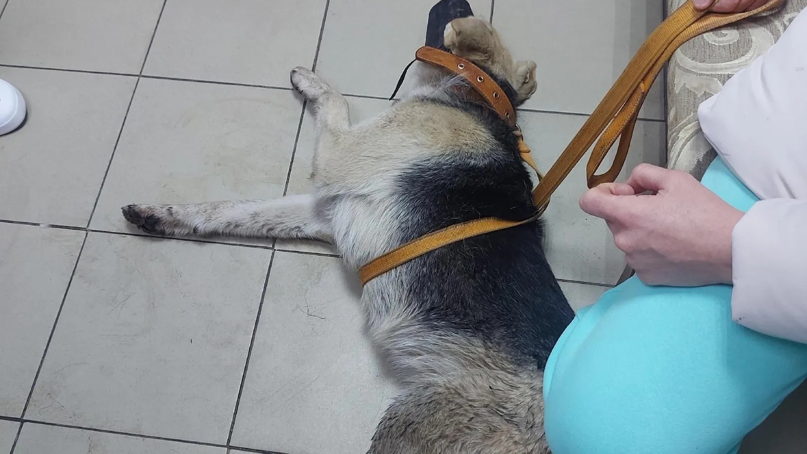 Фото соцсети.