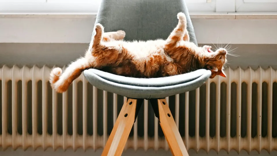 Фото: unsplash.com