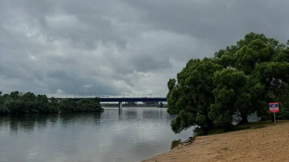 Фото: администрация г.о. Красногорск