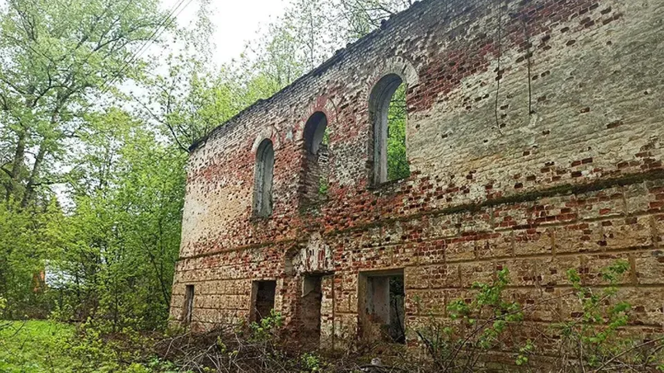 Фото: Подмосковье сегодня/Филипп Терец
