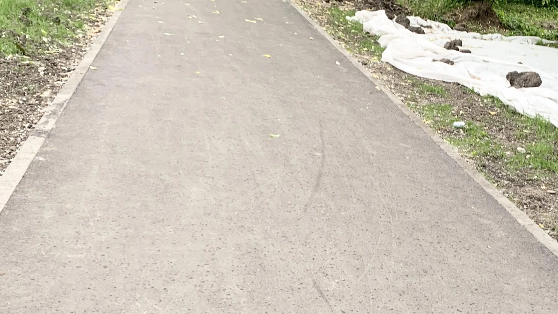 Фото: Ирина Мальцева