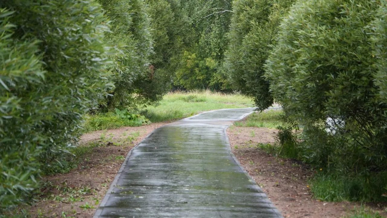 Фото: пресс-служба Администрации г.о. Серпухов