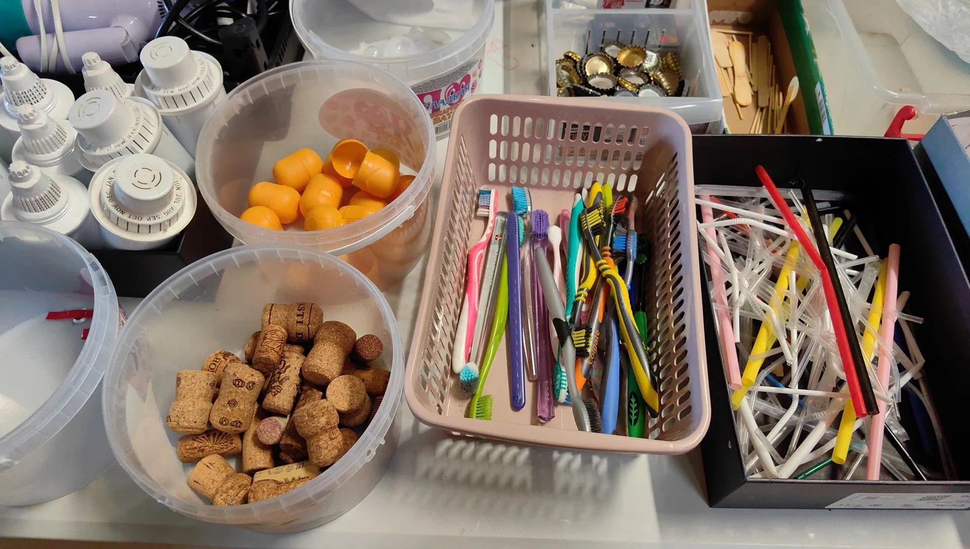 Елена Катасонова