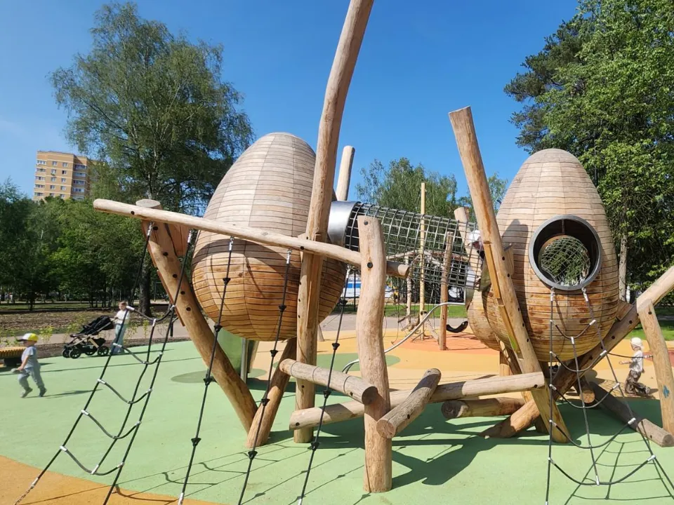 Фото: Хавива Фонина