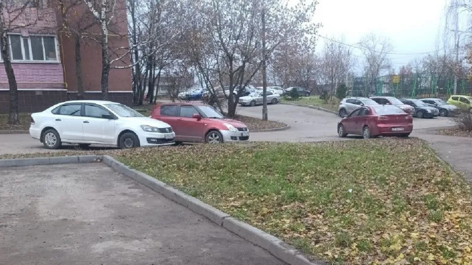 Фото: пресс-служба администрации г.о. Лосино-Петровский