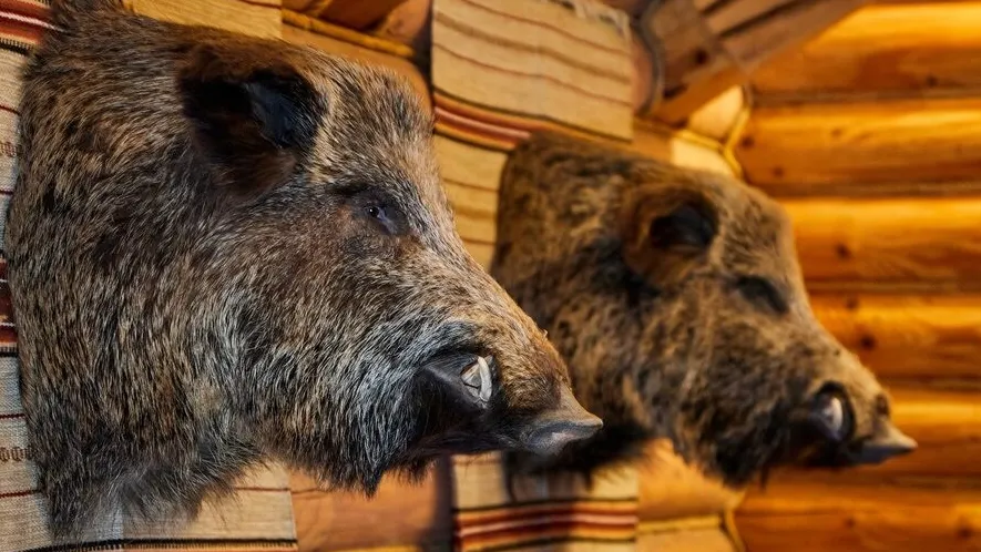 Фото: freepik.com