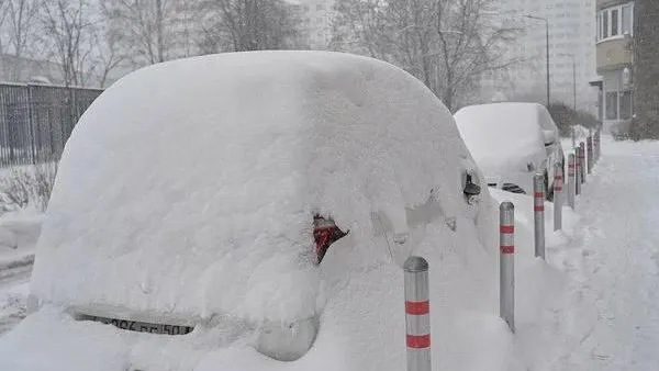 фото: соцсети