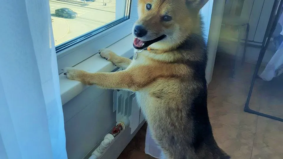 Фото: REGIONS/Юлия Габбасова