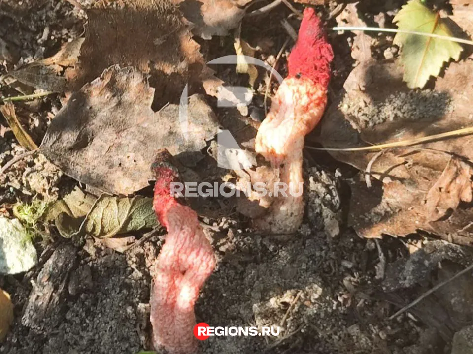 Фото: личный архив Людмилы Воробьевой