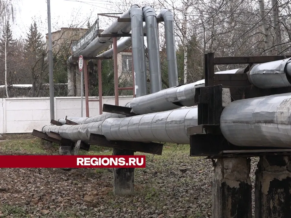 Фото: Елена Аботурова