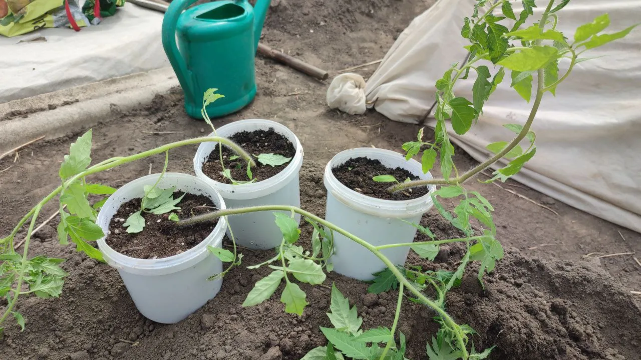 Фото: Елена Забелина