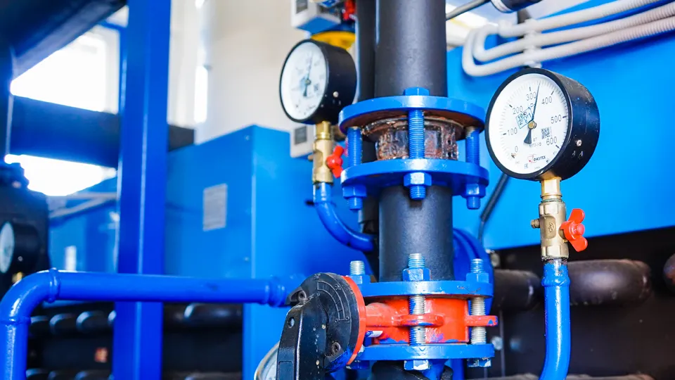 Фото: МедиаБанк Подмосковья/Анастасия Хренкова