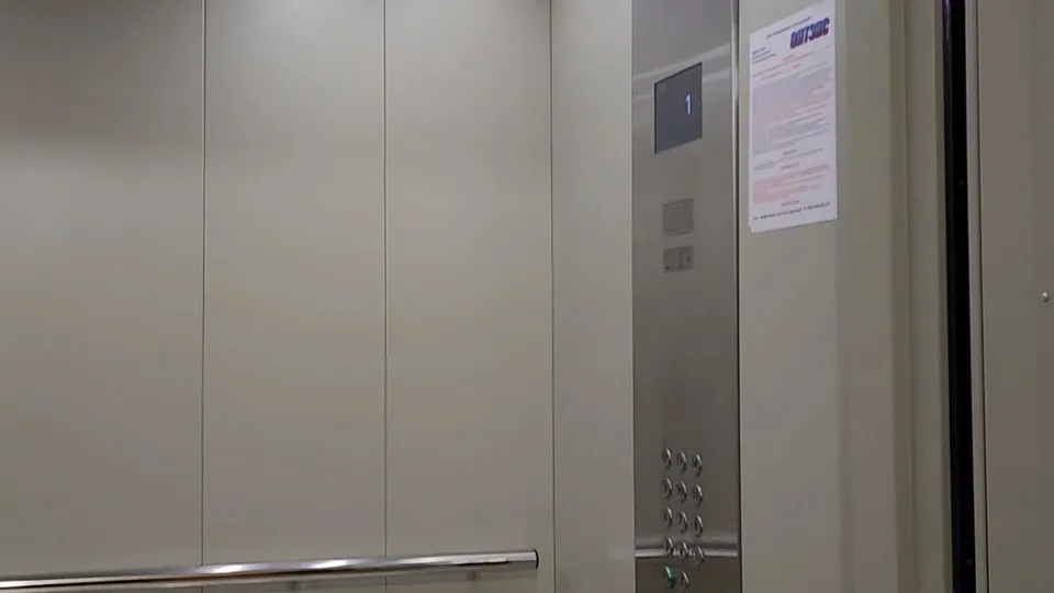 Фото: МедиаБанк Подмосковья/Мария Юдина