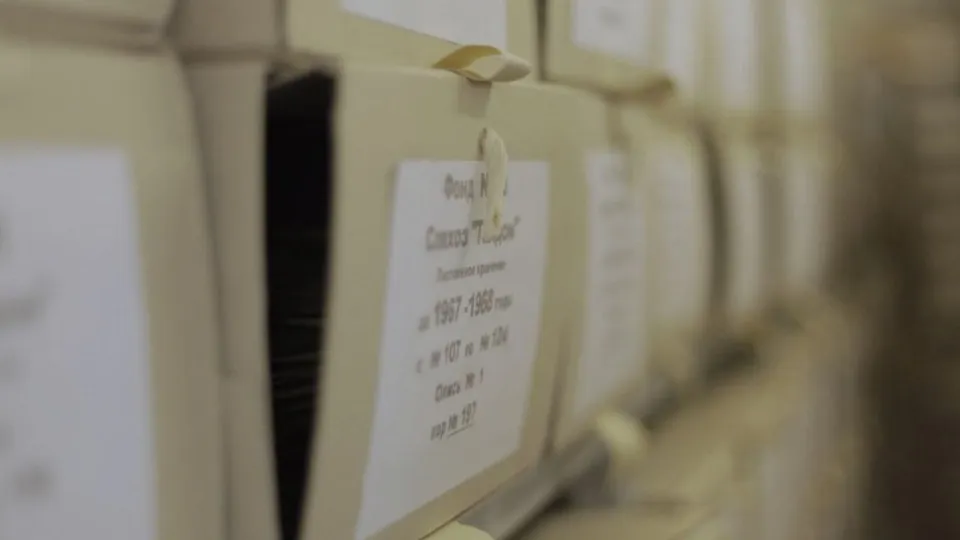 Фото: пресс-служба губернатора Московской области