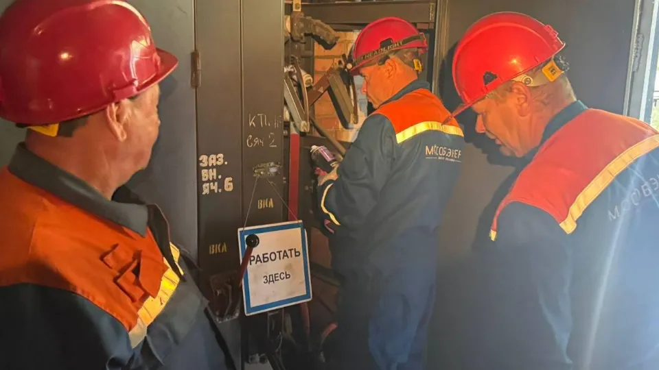 Фото: Мособлэнерго