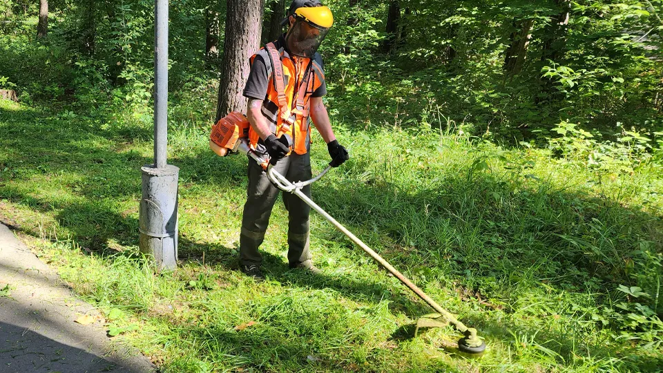 Фото: МедиаБанк Подмосковья/Анна Мороз