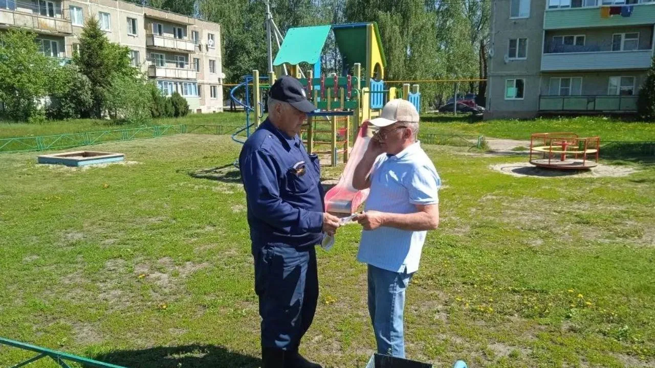 Картинка