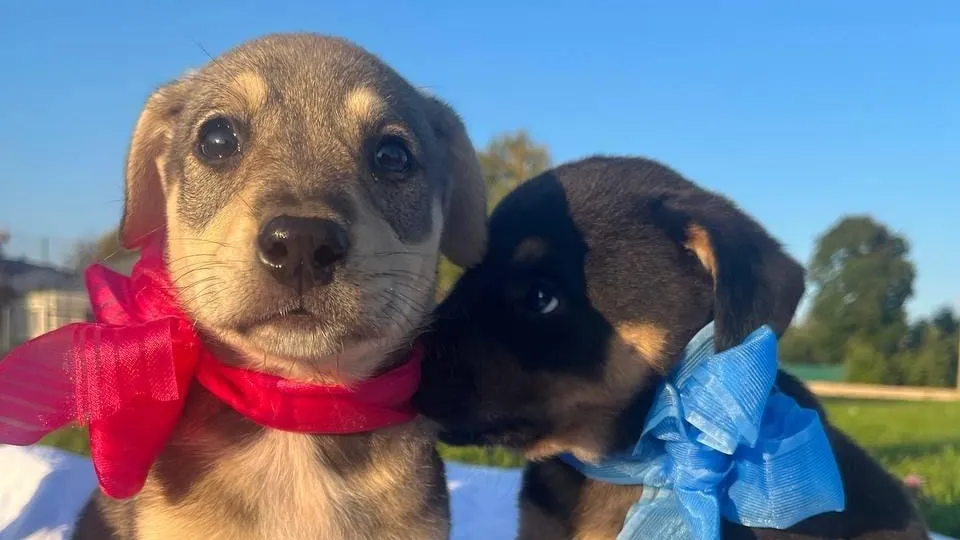 МБУ по работе с молодежью МЦ "Выбор"/ВКонтакте