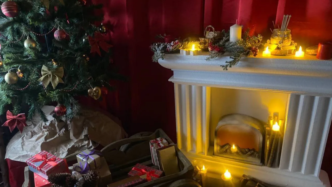 Фото: t.me/park_suncoast