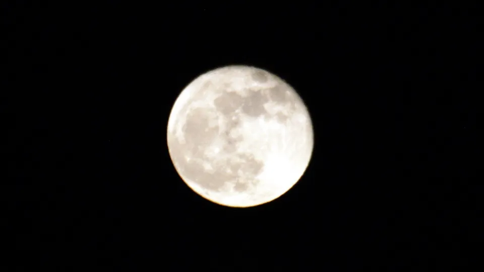 Фото: REGIONS/Александр Легкий