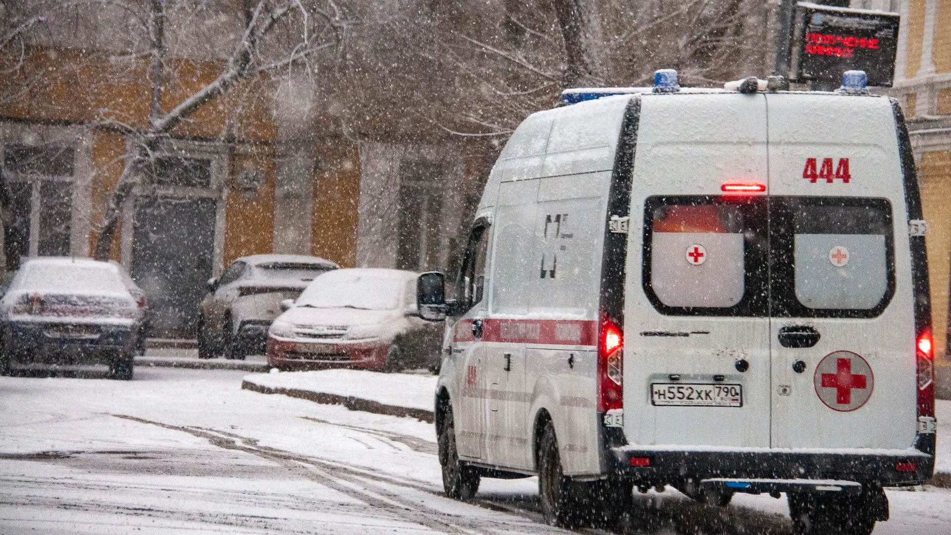 Svetlana Vozmilova/Global Look Press