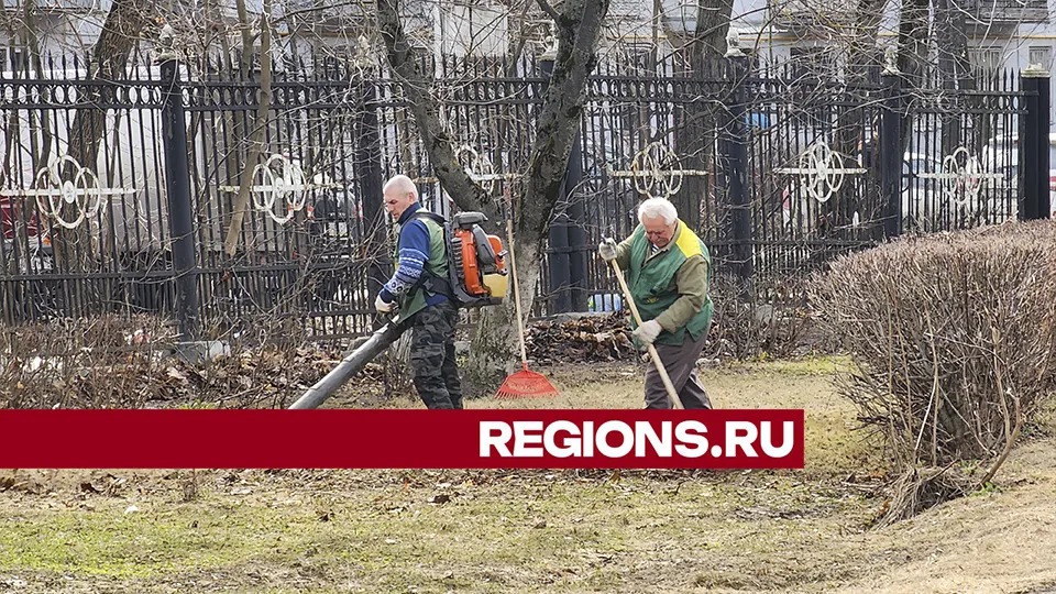 Фото: Роман Савельев