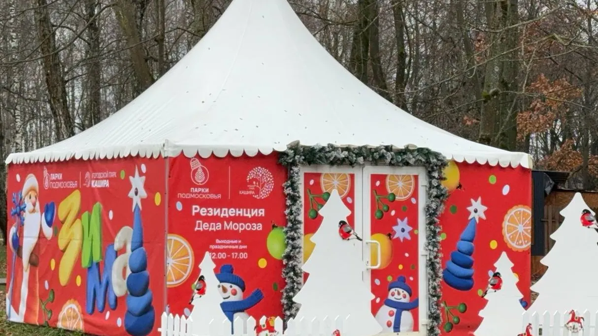 Фото: t.me/kashirapark