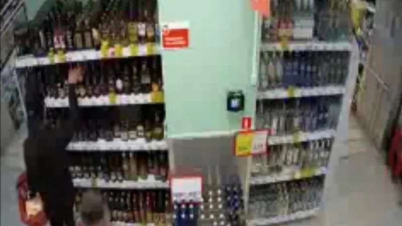 ГУ МВД по МО