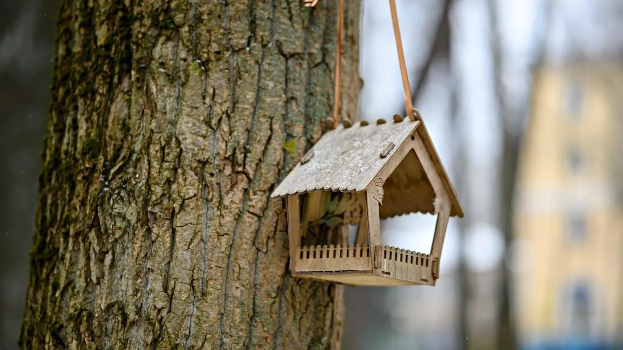 медиасток.рф