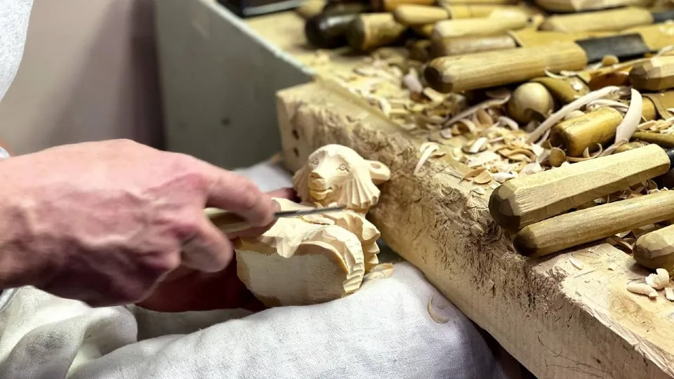 Фото: МедиаБанк Подмосковья/Дарья Леонова