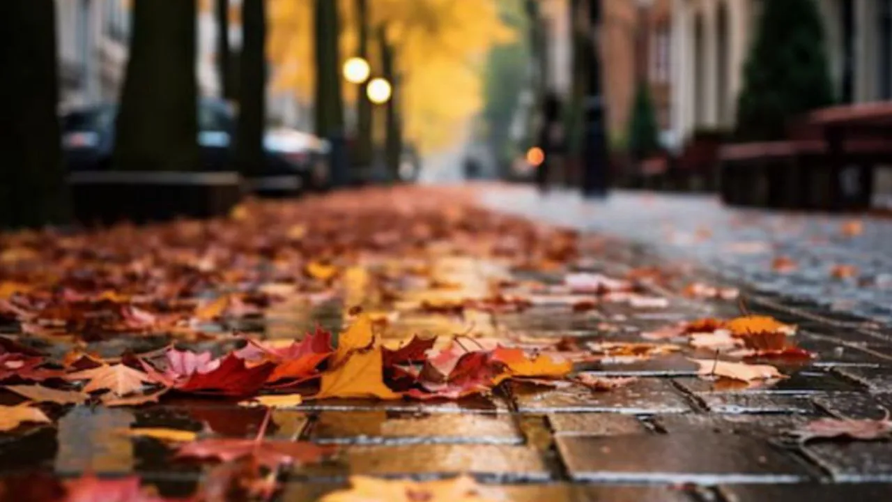 Фото: freepik.com