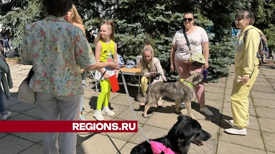 Фото: Мария Шматкова