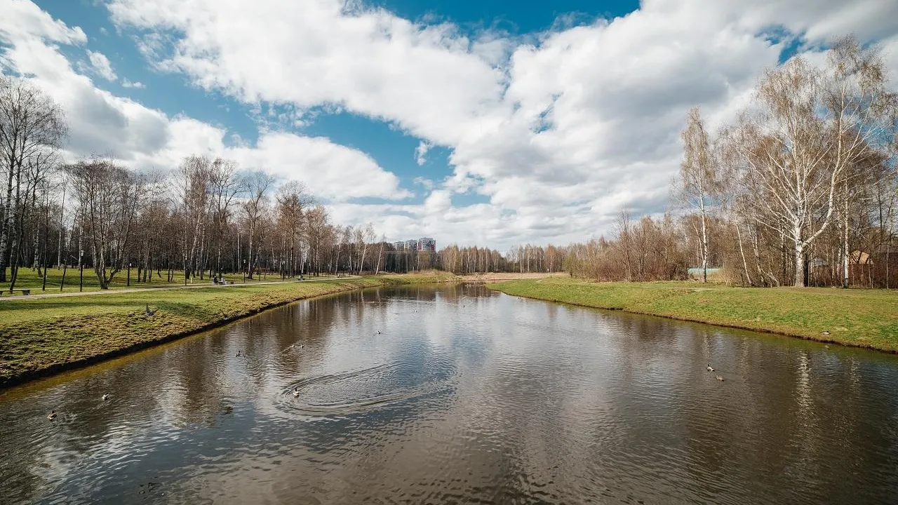 Жителям Подмосковья рассказали о погоде во вторник