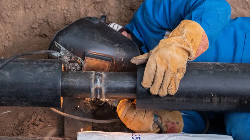 Фото: МедиаБанк Подмосковья/Владимир Думчев