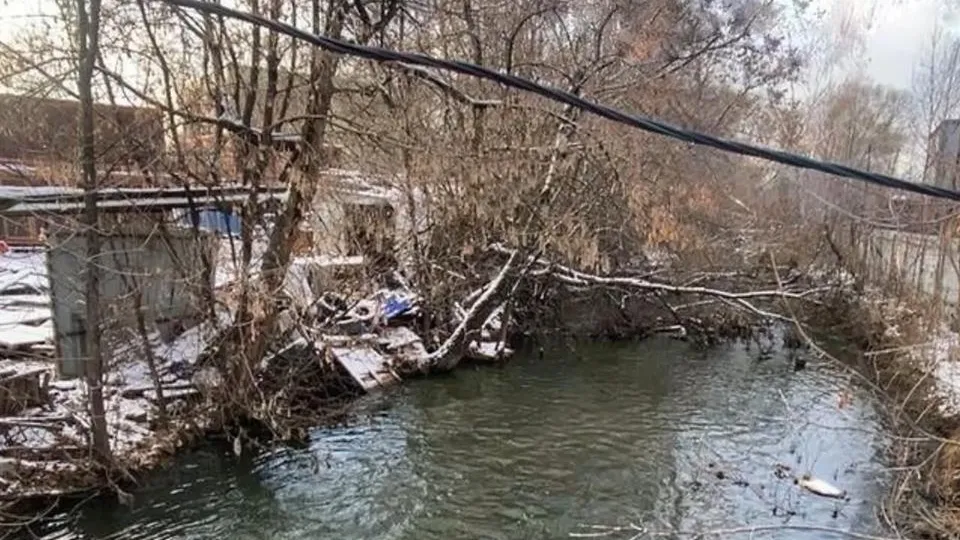 Фото: пресс-служба Министерства экологии и природопользования Московской области