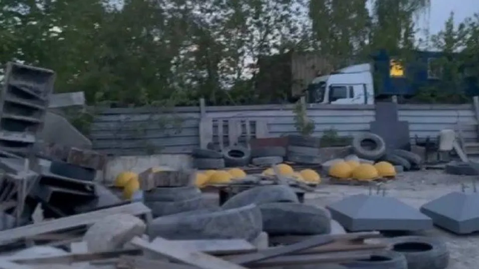 Фото: пресс-служба администрации Ленинского г.о.