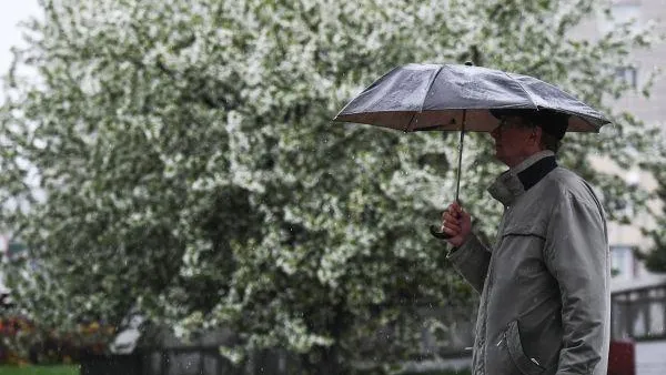 Дождливая погода ожидается в столичном регионе в субботу