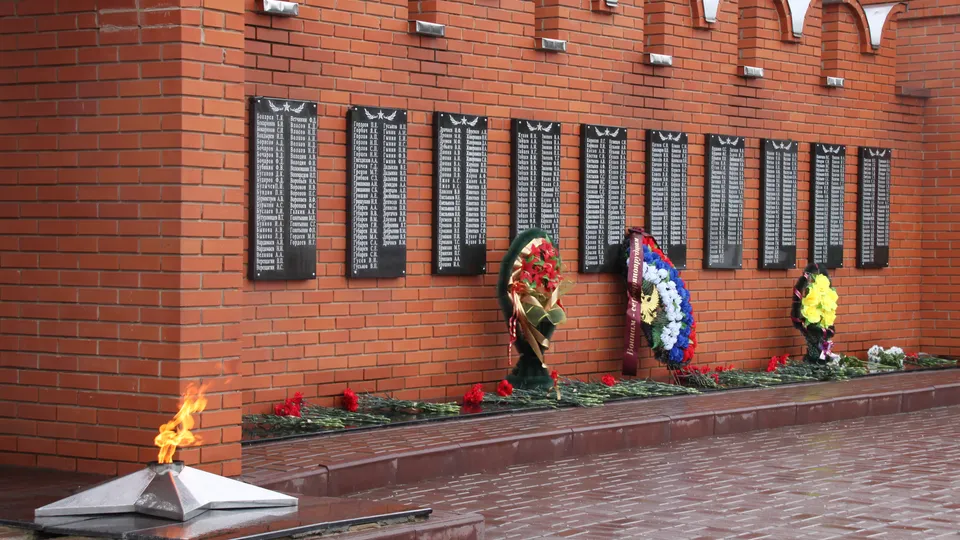 Фото: REGIONS/Дарья Кургузова