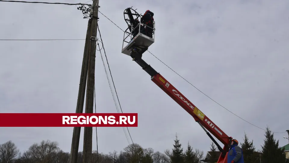 Фото: Владимир Останин