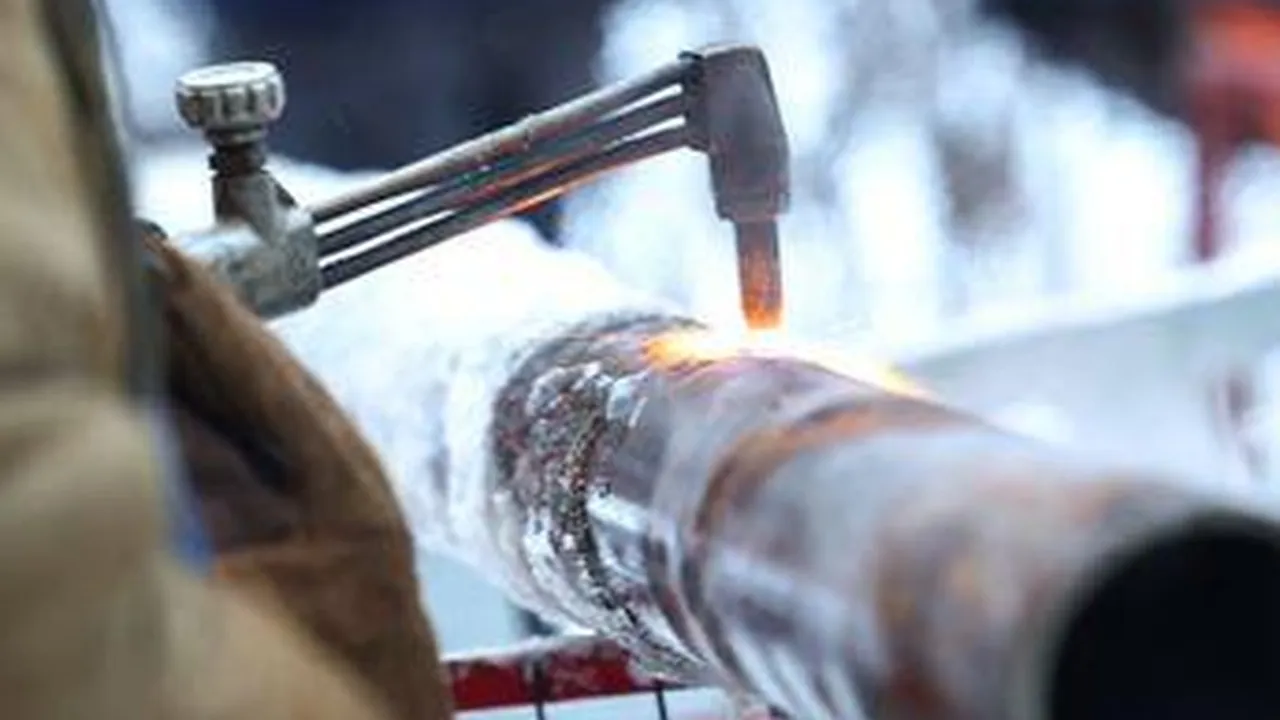 Фото: Медиаархив Подмосковья