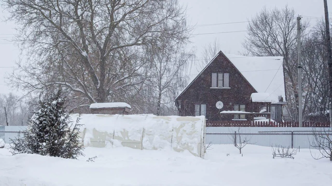REGIONS/Дарина Левкина