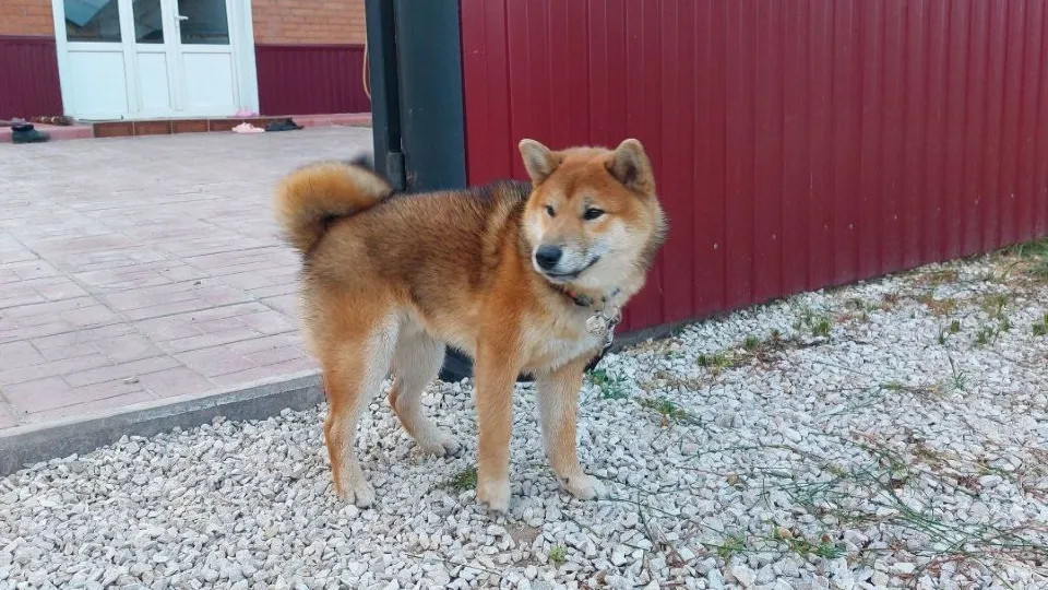 Фото: Юлия Габбасова