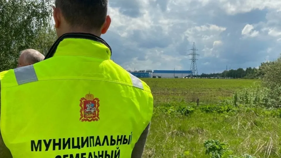 Фото: Министерство имущественных отношений Московской области